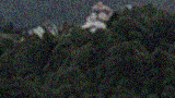 PARAWEBVIDEO.png