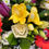 Thumbnail: Flowers planter mixed colours