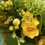 Thumbnail: Collection of yellows