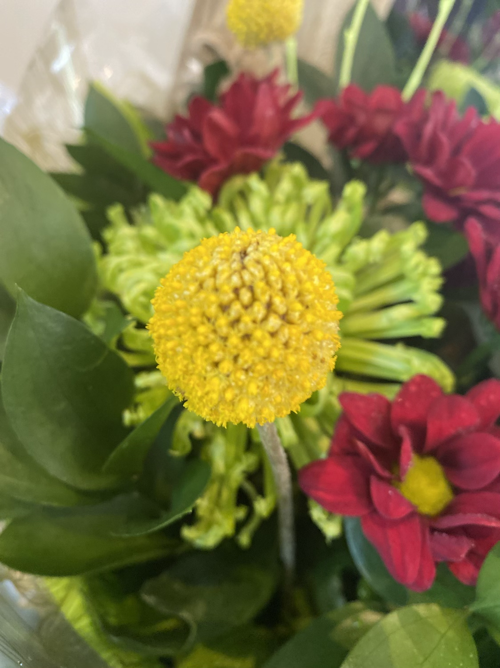 Thumbnail: Rich reds and greens