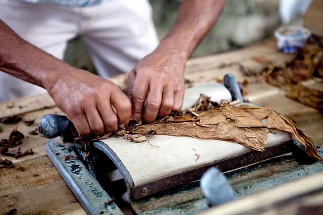 Cigar Rolling