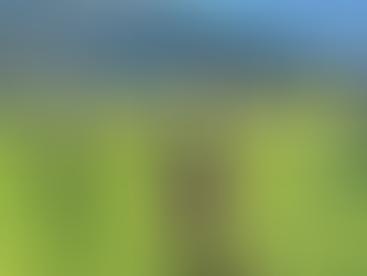 The Easter Bunny comes to Kanab and Orderville