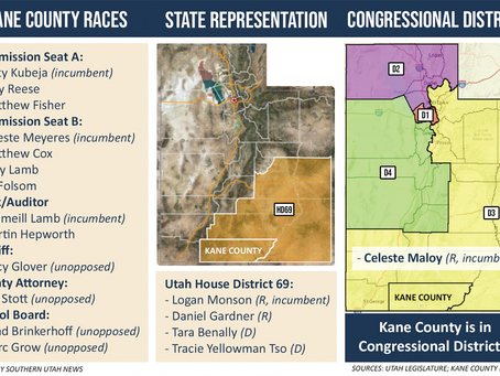 Party conventions set stage for 2026 midterms