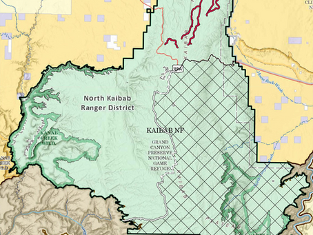 Kaibab National Forest to further reduce North Kaibab area closure