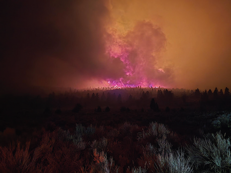 Utah interagency fire incident update - Forsyth Fire