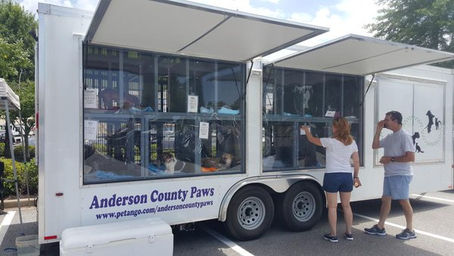 Anderson County’s No Kill Transition
