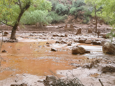 Remains identified as missing Grand Canyon hiker