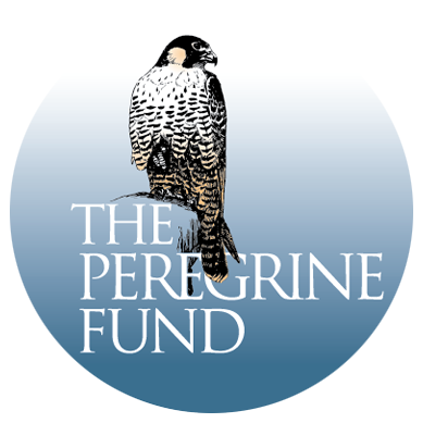 Writer: Peregrine Fund