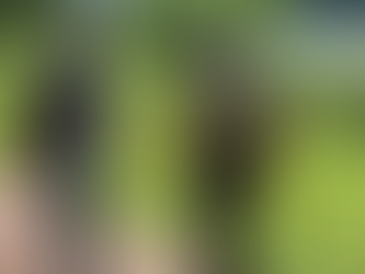 Starting the year strong at any age