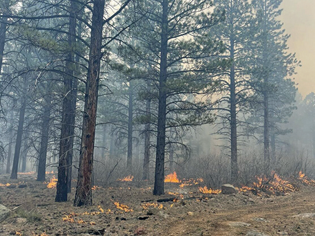 Governor Cox declares state of emergency as wildfires intensify
