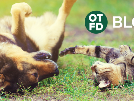 Looking Forward To 2014