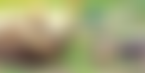 Looking Forward To 2014