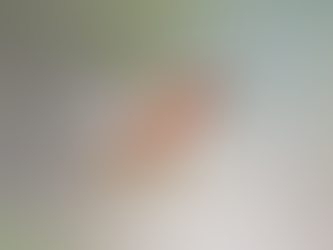 Hummingbirds are on their way