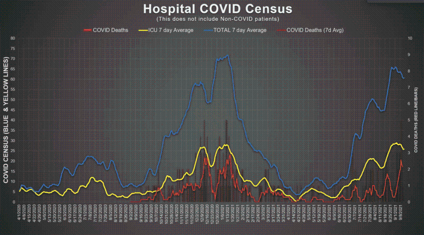 Southern Utah Covid ICU cases surpass peak