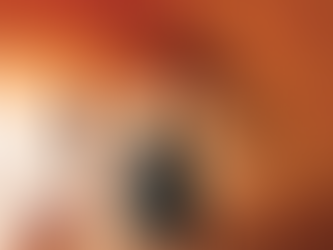 BLM hosts media roundtable on cultural site vandalism