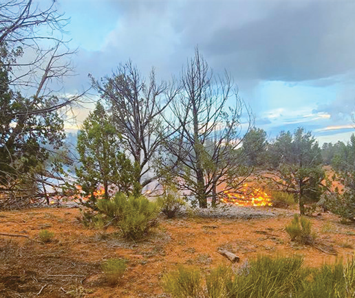 Fire at Three Lakes extinguished quickly