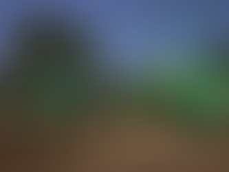 Green Lights for Veterans initiative concludes