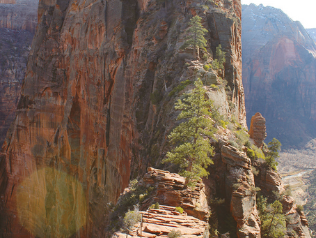 Injured hiker prompted Angels Landing closure