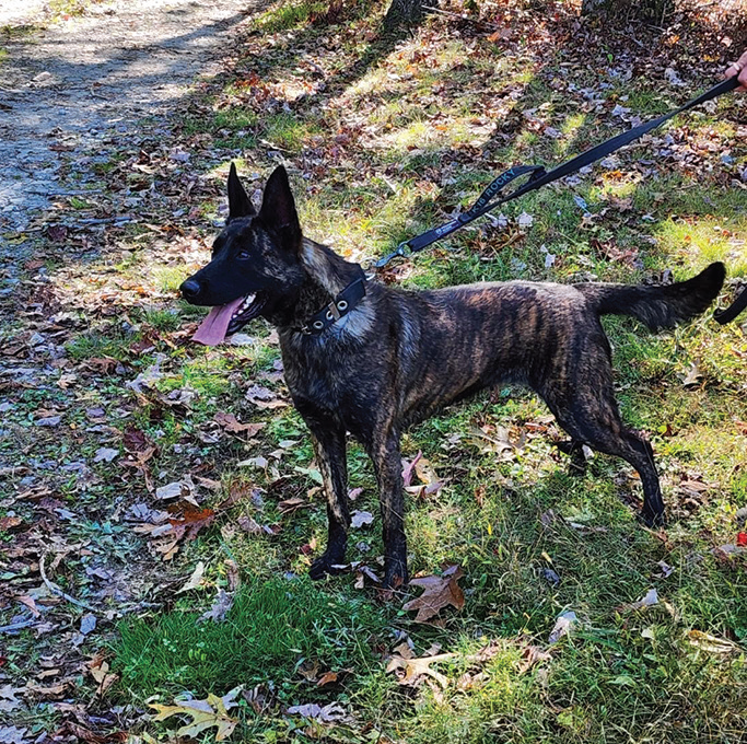 Around Town - Jeremy Felish