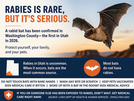 First rabid bat of 2026 confirmed in southern Utah