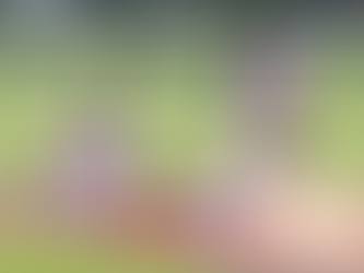 Valley’s 14-U unfortunately undermined in Panguitch RBI Tournament