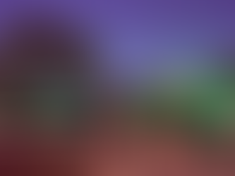 Shining a light on the service of our local veterans