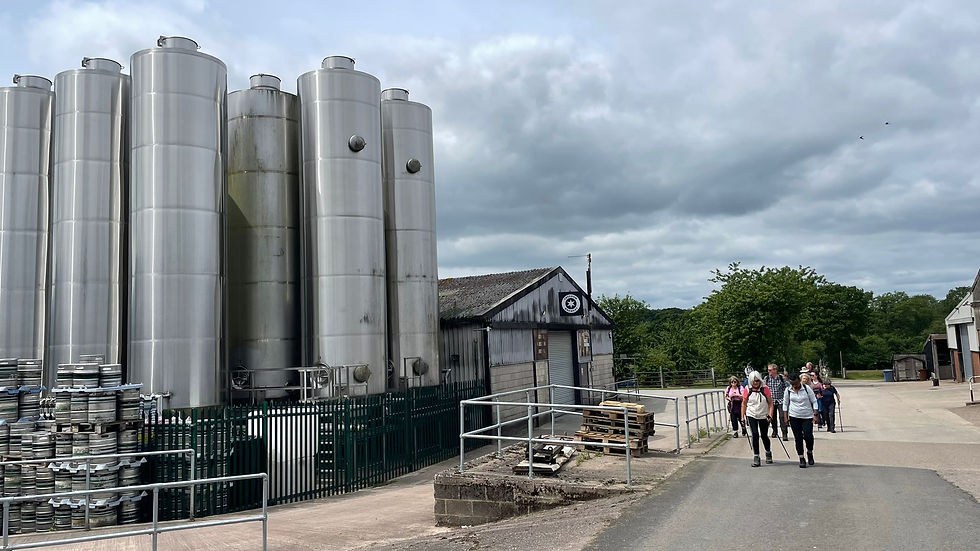 2026-06-14 freedom brewery