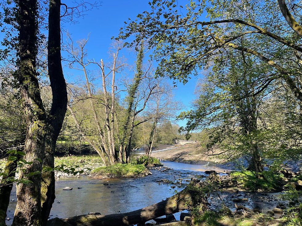 P.P.W river derwent new bridge