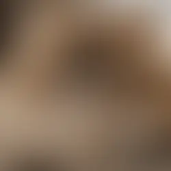 Exploring the Diverse Origins: The Evolution of Various Cat Breeds