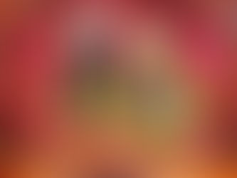 Celebration of Ram Navami Under the Guidance of Dr. Swami Yugal Sharan Ji