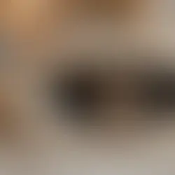 The Art of Feline Friendship: Building a Strong Bond with Your Cat