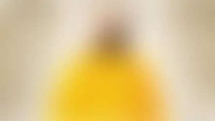 Dr. Swami Yugal Sharan Ji’s Contributions in 2025