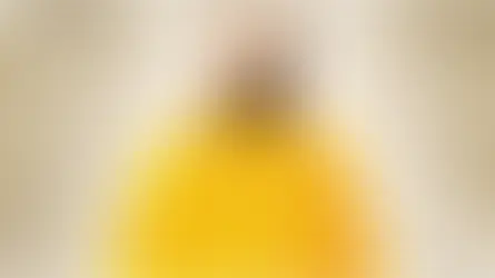 Dr. Swami Yugal Sharan Ji’s Contributions in 2025