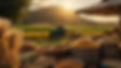 Agricultural Commodities