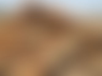 How to Identify Quality Teak Wood Before You Buy