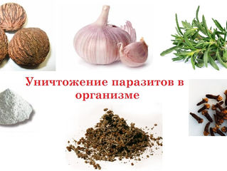 Как избавится от паразитов