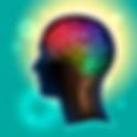 How Cerebrospinal Fluid Helps Clean the Brain