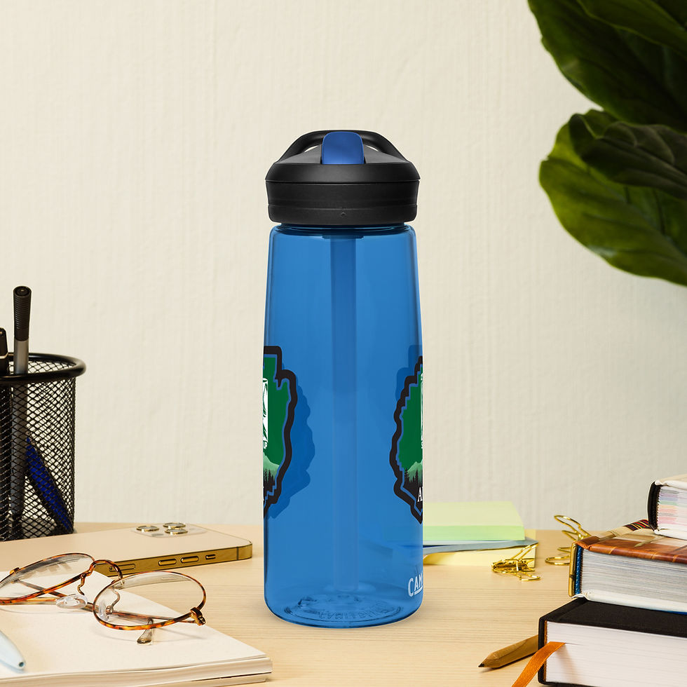 Thumbnail: Adirondack Sports water bottle