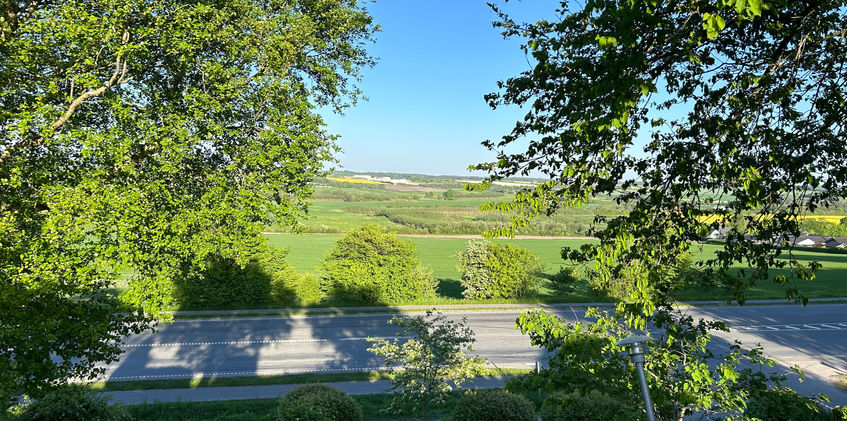 view at green landscape from the terrace of a motel at the countryside in danmark