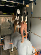 kurier transport kunst gemälde exponat stadtmusikanten deko