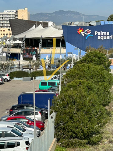 Mallorca Palma Kurier Inselkurier Blick auf Parkplatz Aquarium