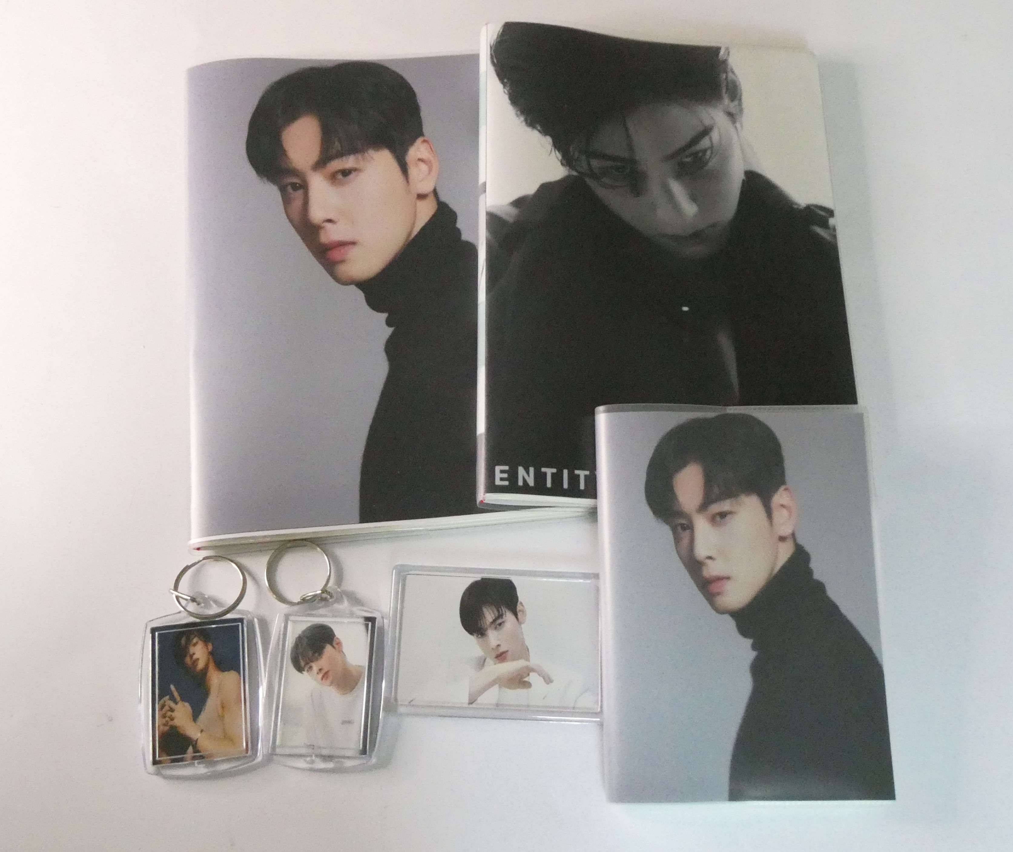 Cha Eun-Woo Large Notebooks, Mini Notebooks, Magnets and Keyrings