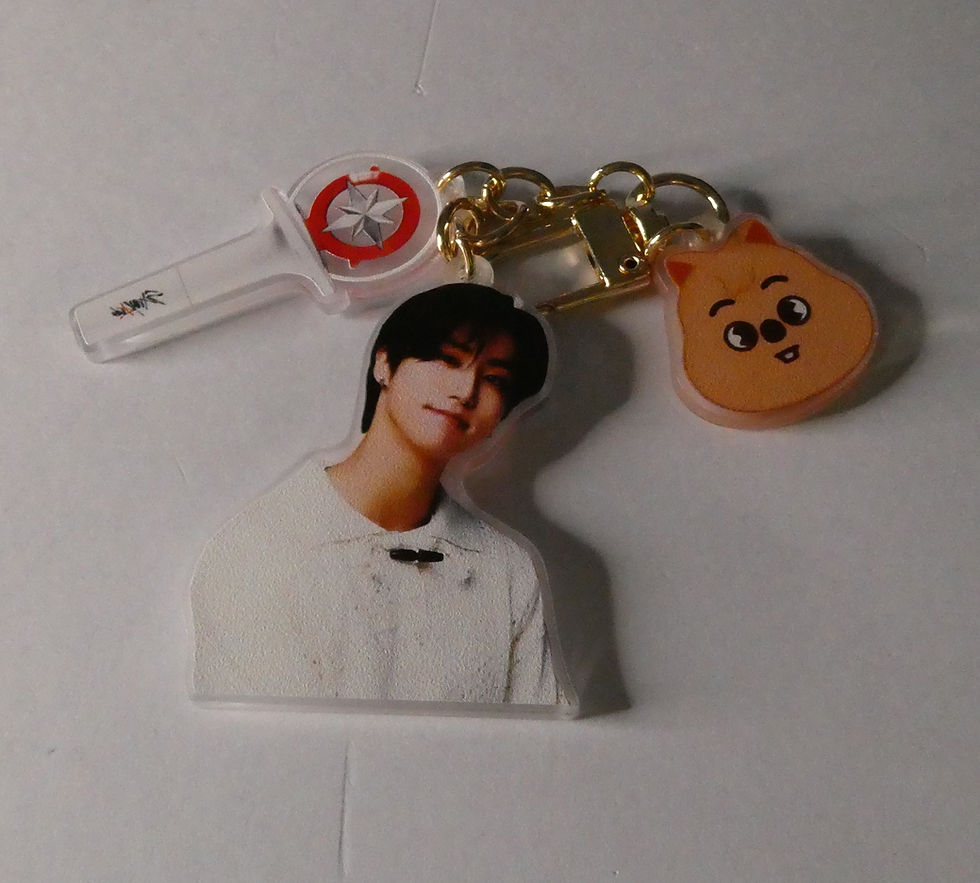 Thumbnail: STRAY KIDS SKZOO 3 piece Keyrings K-POP 7