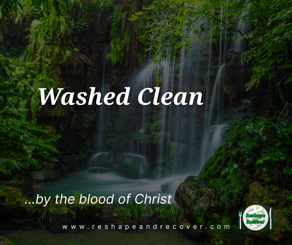 Washed Clean Washed Clean