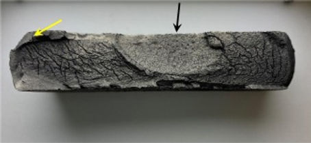 Gebrochene Blattfeder (Oberfläche)