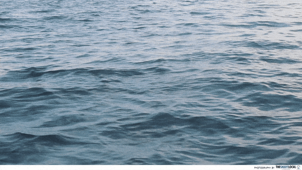 images_easyblog_articles_7129_Cebu-13.gif