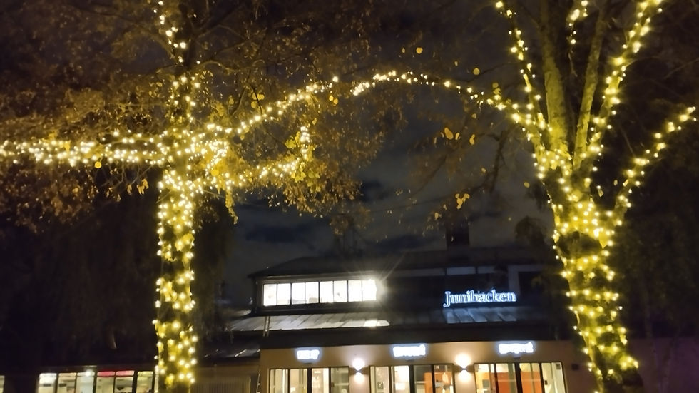 Stockholmer Museen - Junibacken