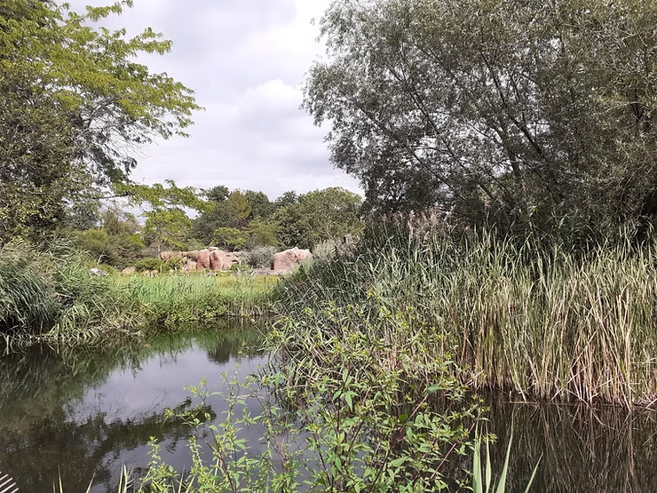 Leipzig – von „Klein-Paris“ zum „Klein-Berlin“. Rosental mit Blick zum Zoo