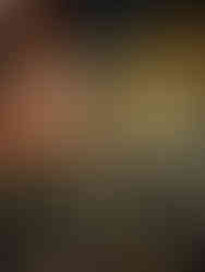 Gamla Stan - enge Gassen, bunte Fachwerkhäuser