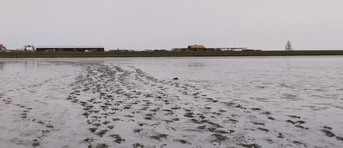 Entschleunigung pur auf Juist. Wattwanderung